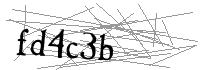 Visual Verification