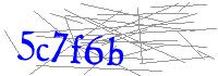 Visual Verification
