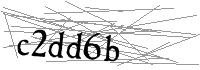 Visual Verification