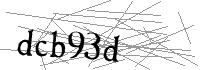 Visual Verification