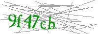 Visual Verification