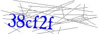 Visual Verification