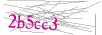 Visual Verification