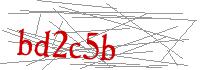 Visual Verification