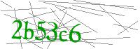 Visual Verification