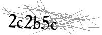 Visual Verification