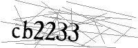 Visual Verification