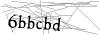 Visual Verification
