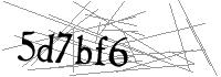 Visual Verification