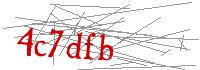 Visual Verification