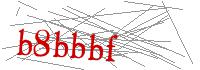 Visual Verification