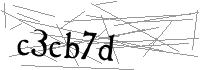Visual Verification