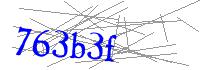 Visual Verification