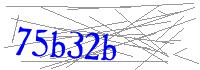 Visual Verification