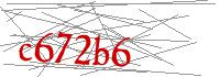 Visual Verification