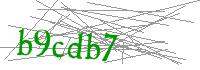 Visual Verification