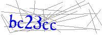 Visual Verification