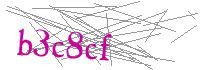 Visual Verification