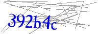 Visual Verification