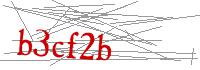 Visual Verification