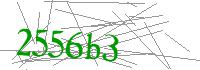 Visual Verification