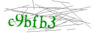 Visual Verification