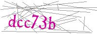 Visual Verification