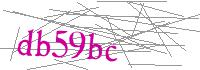 Visual Verification