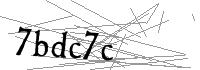 Visual Verification