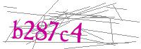 Visual Verification