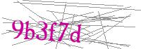 Visual Verification