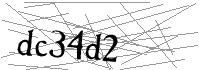 Visual Verification