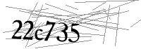 Visual Verification