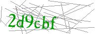 Visual Verification