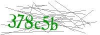 Visual Verification