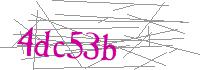 Visual Verification