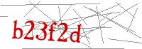 Visual Verification