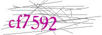 Visual Verification