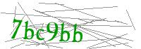 Visual Verification