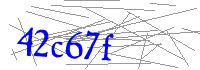Visual Verification