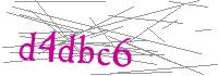 Visual Verification