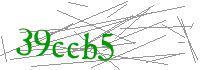 Visual Verification