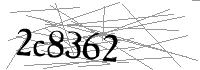 Visual Verification