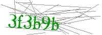 Visual Verification