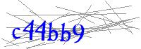 Visual Verification