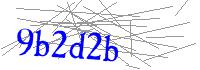 Visual Verification