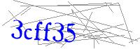 Visual Verification