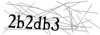 Visual Verification