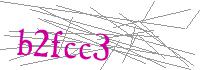Visual Verification