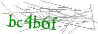Visual Verification